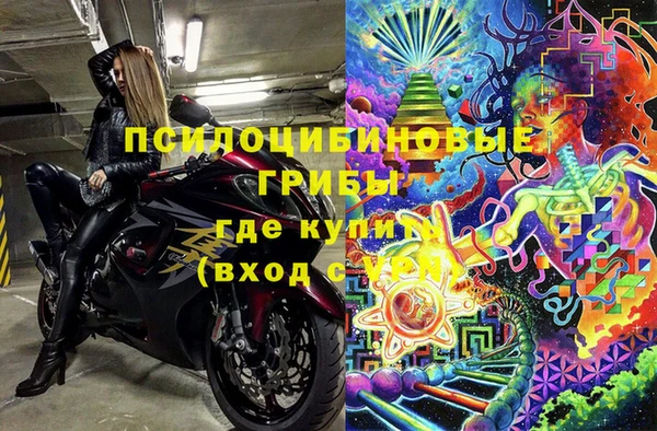 дживик Абаза