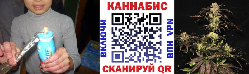 Бошки Шишки марихуана  Щёлкино 